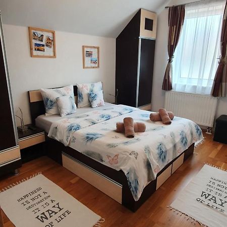 Smiley Apartment Sibiu Esterno foto